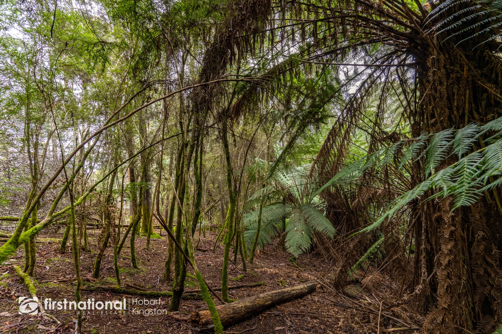 Additional image 21 of 240 Watsons Road, Kettering TAS 7155