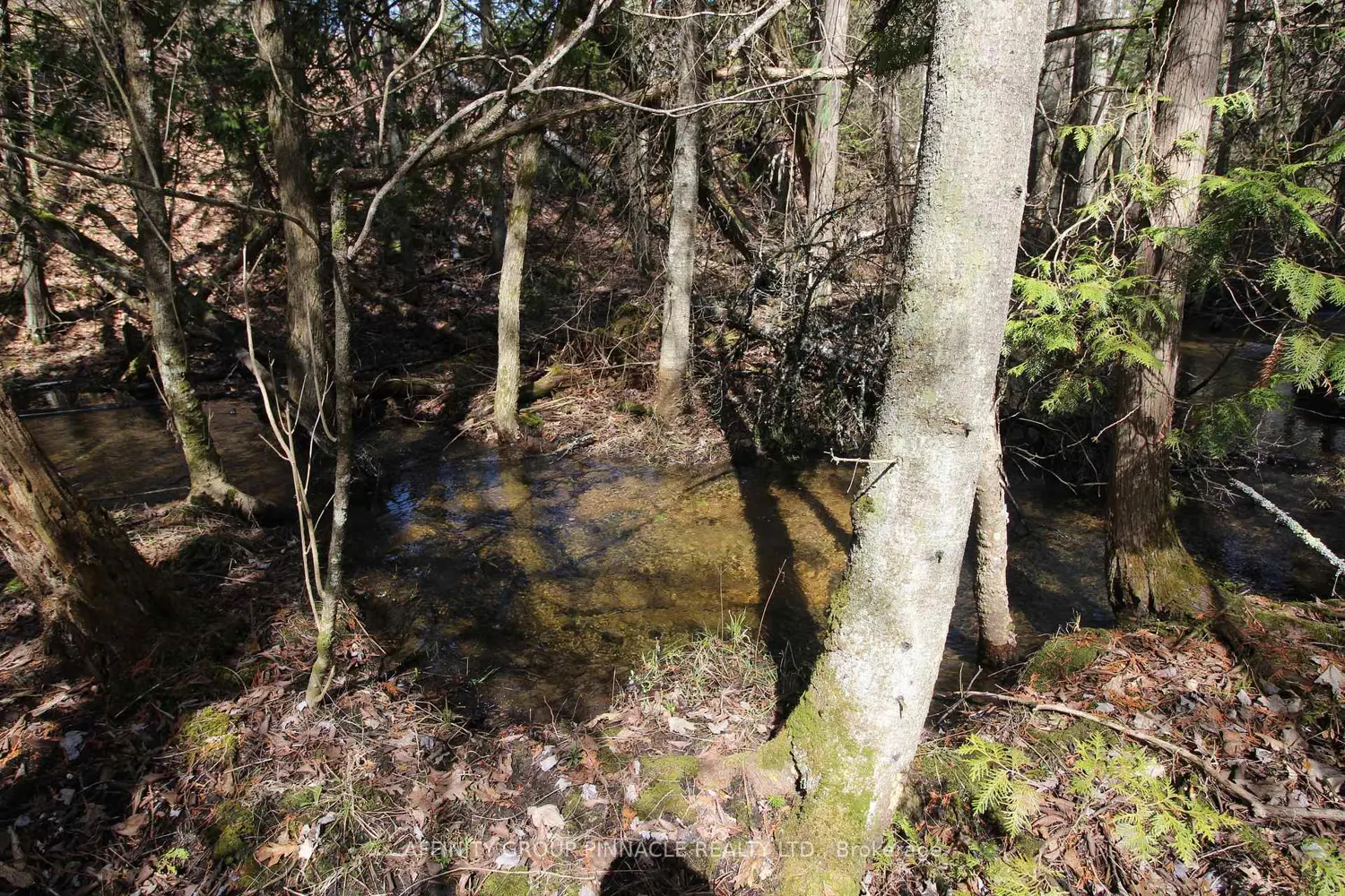 Additional image 10 of Lot 15 Concession 9