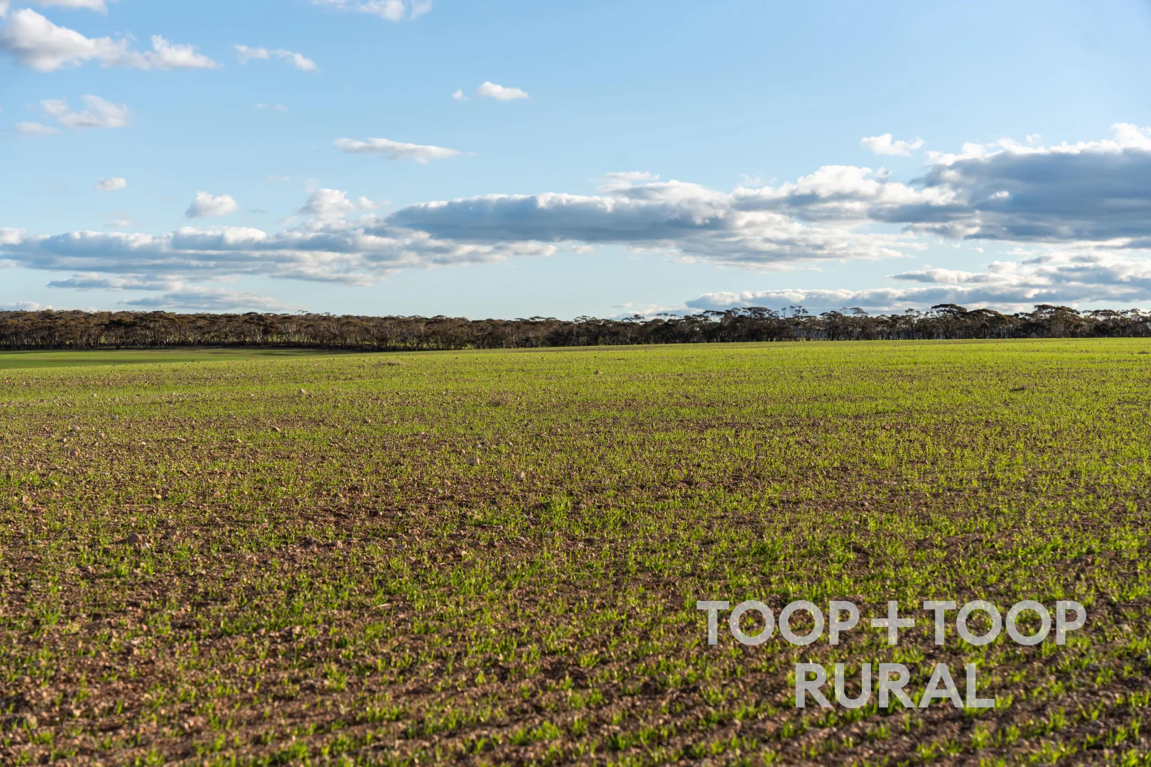 Additional image 10 of 332 Angle Road, Brownlow SA 5374