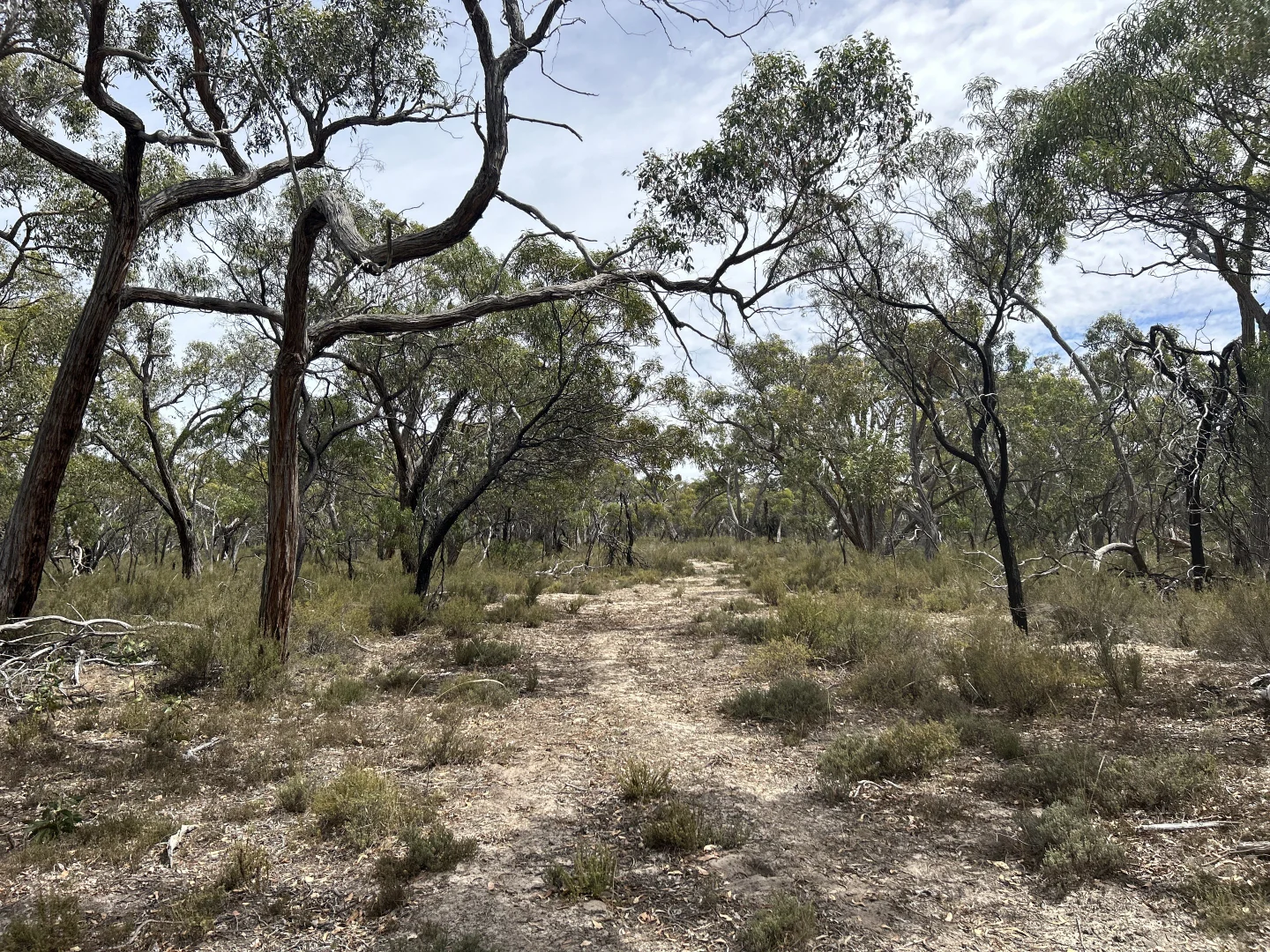 Additional image 15 of CA/75 A Watkins Road, Karnak VIC 3401