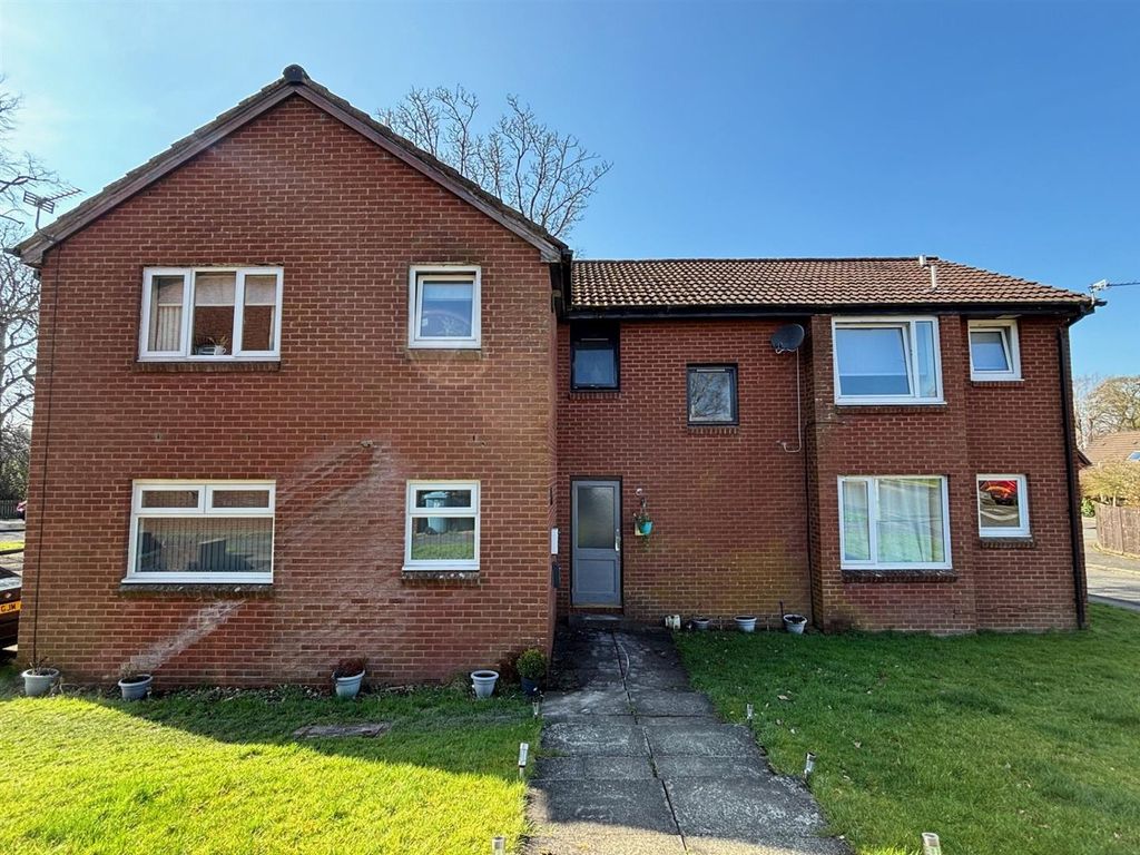 1 bed flat to rentAlford Quadrant, Coltness ML2