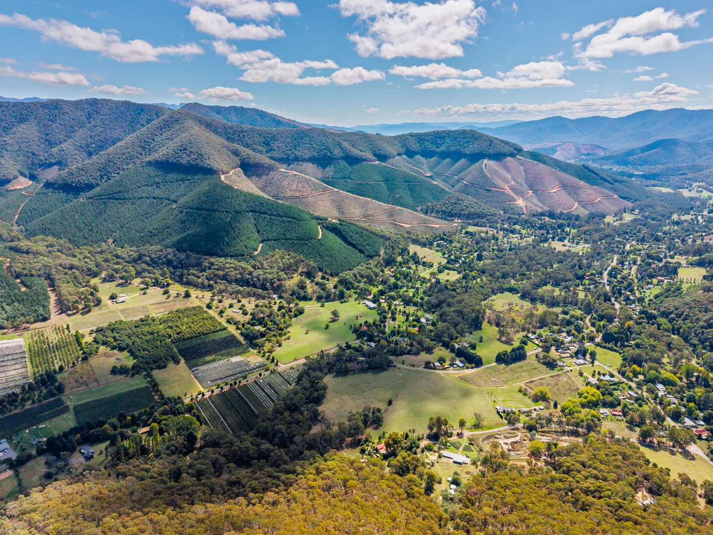 Additional image 41 of 67 Jagoes Gully Road, Wandiligong VIC 3744