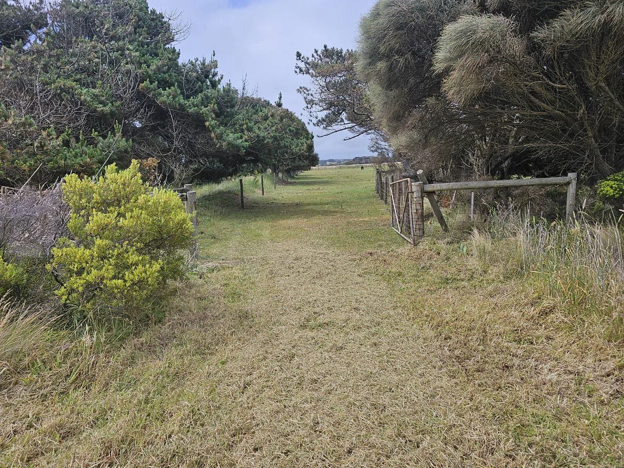 Additional image 6 of 18 Wards Road, Peterborough VIC 3270