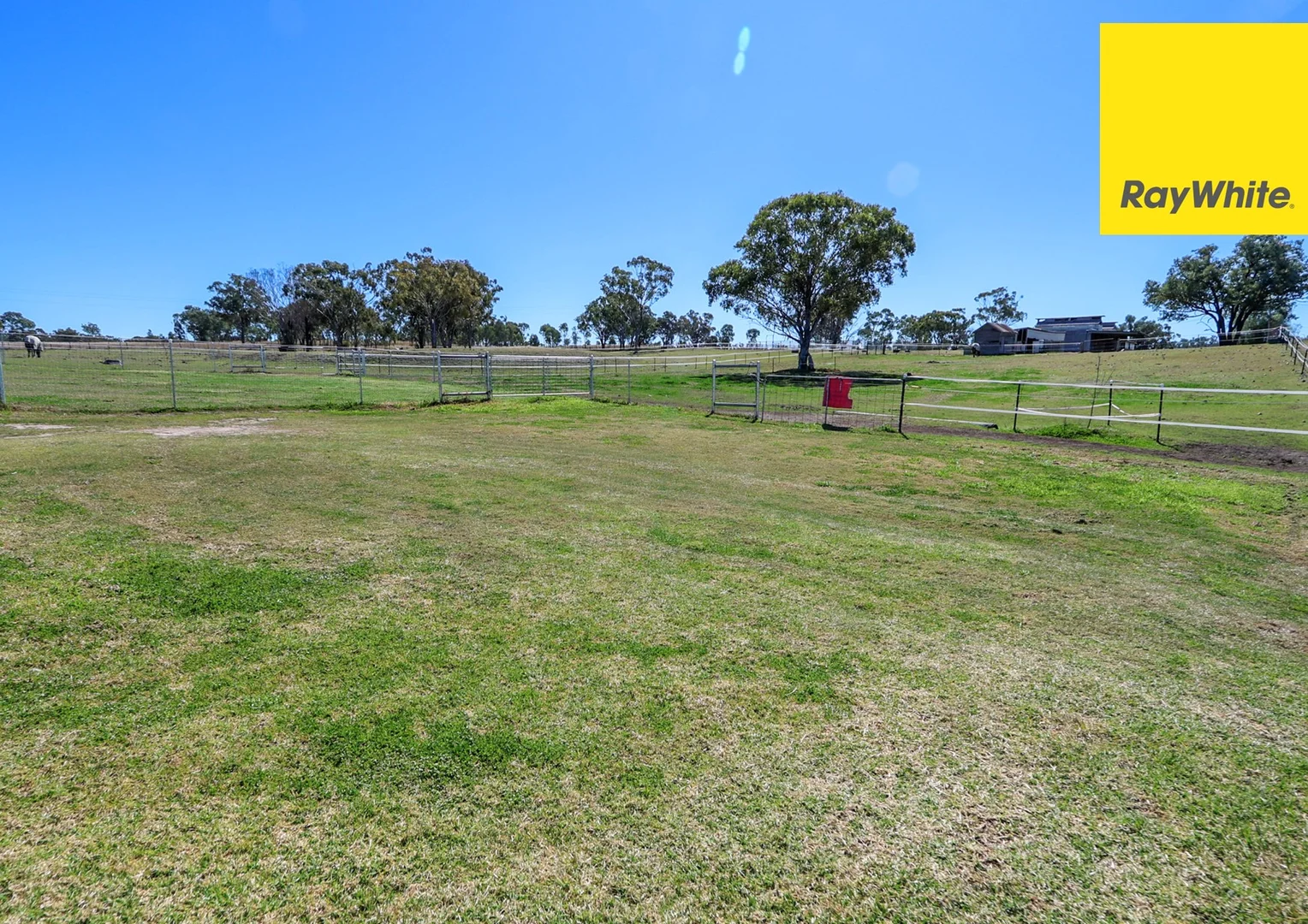 Additional image 11 of 103 Inverell Street, Ashford NSW 2361