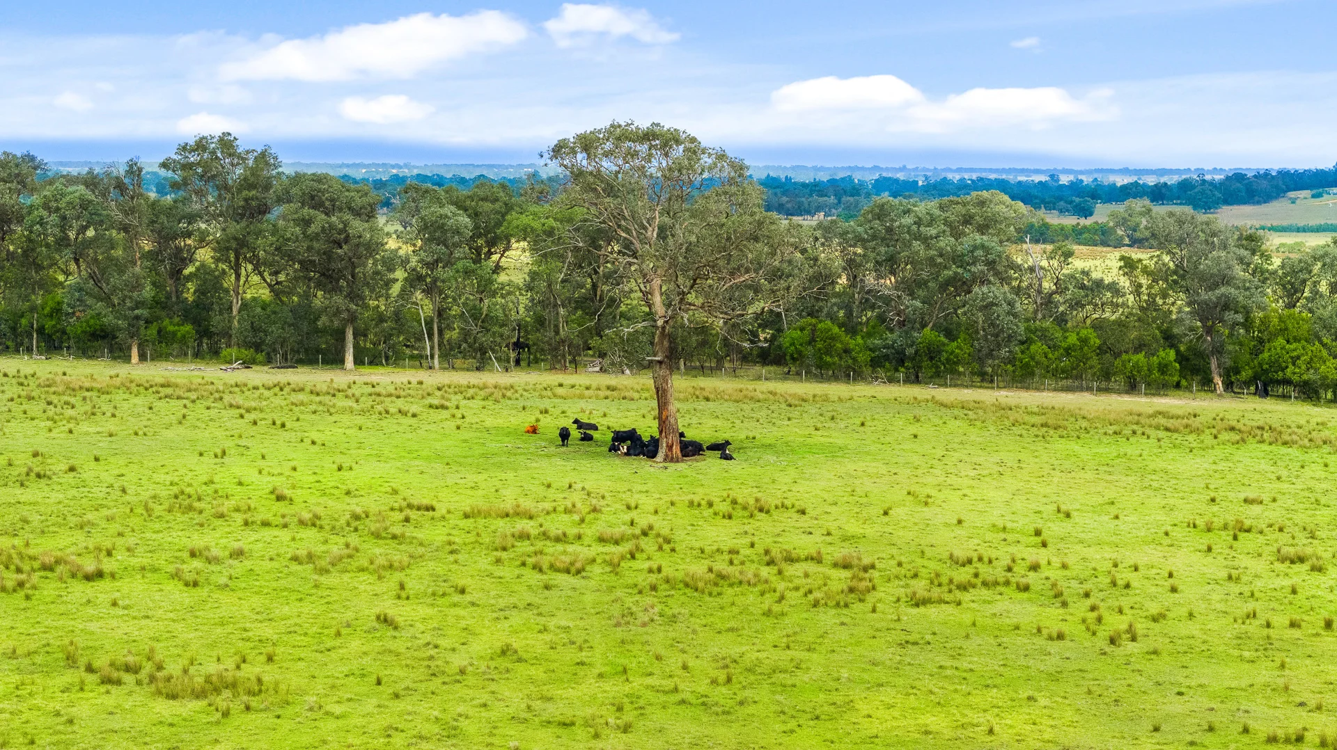 Additional image 20 of 91 Pritchetts Road, Seaton VIC 3858