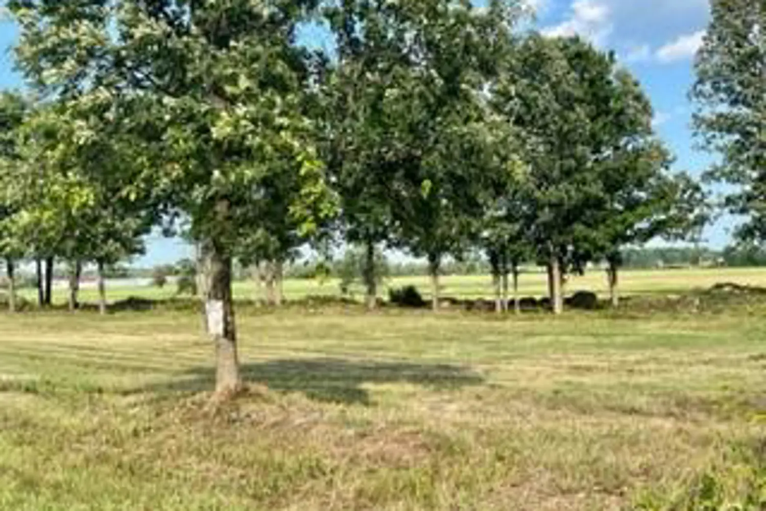 Additional image 9 of 0 Kitley Line 8 Road