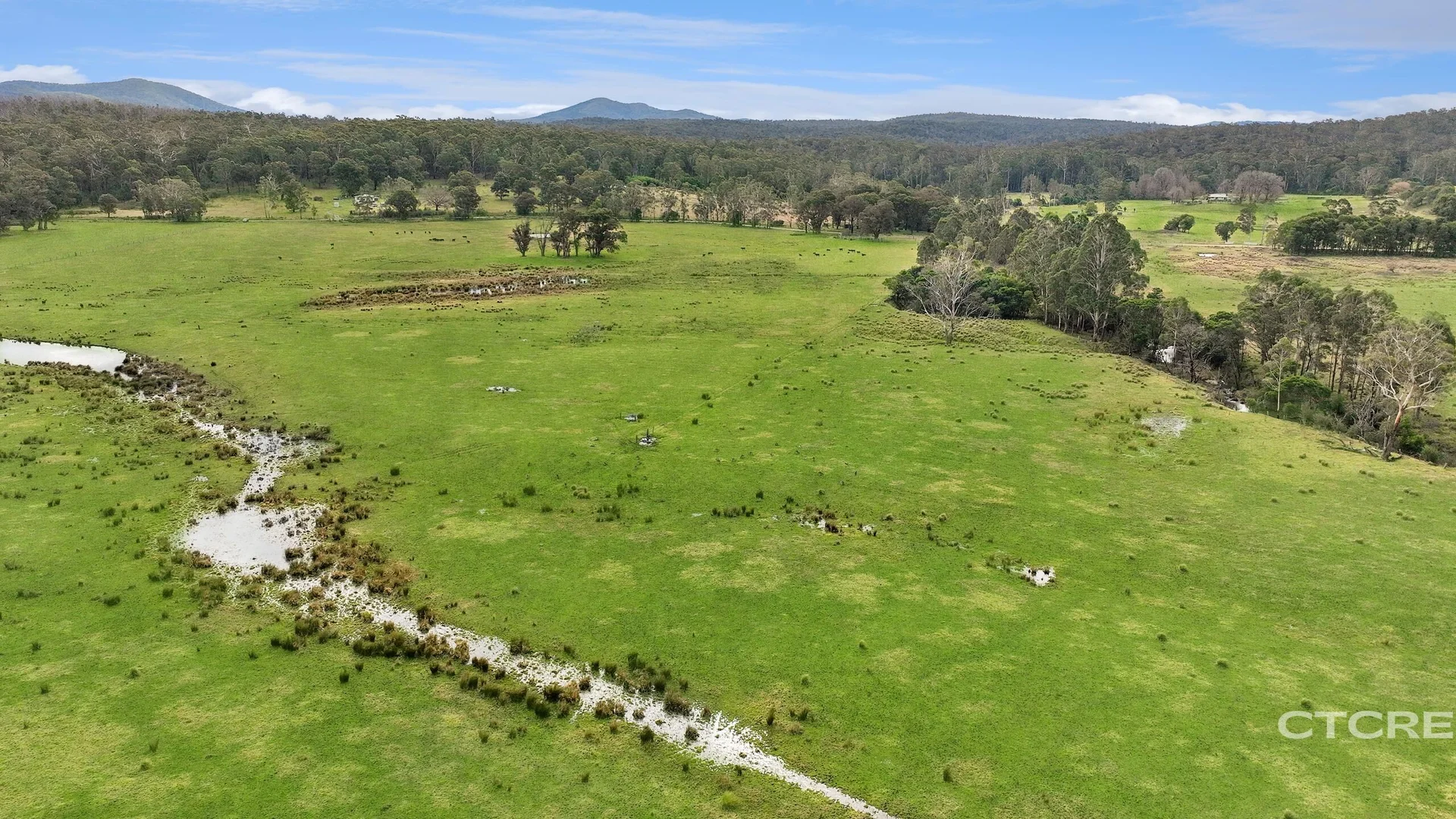 Additional image 4 of 1664 Wangarabell Road, Wangarabell VIC 3891
