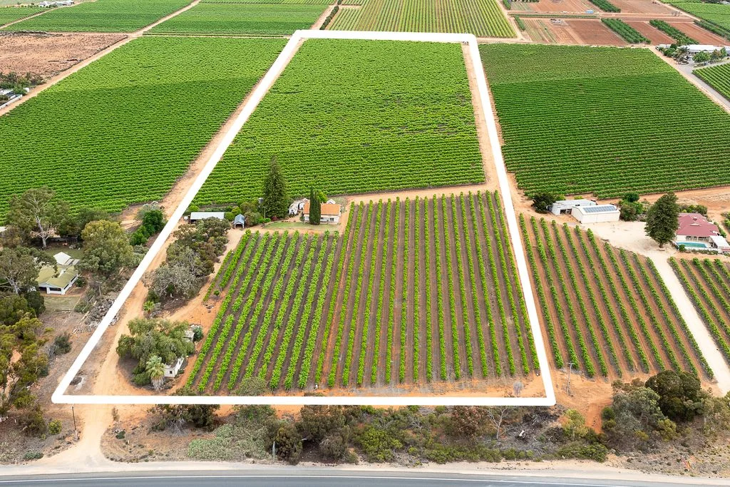 Additional image 2 of 17574 Sturt Highway, Barmera SA 5345