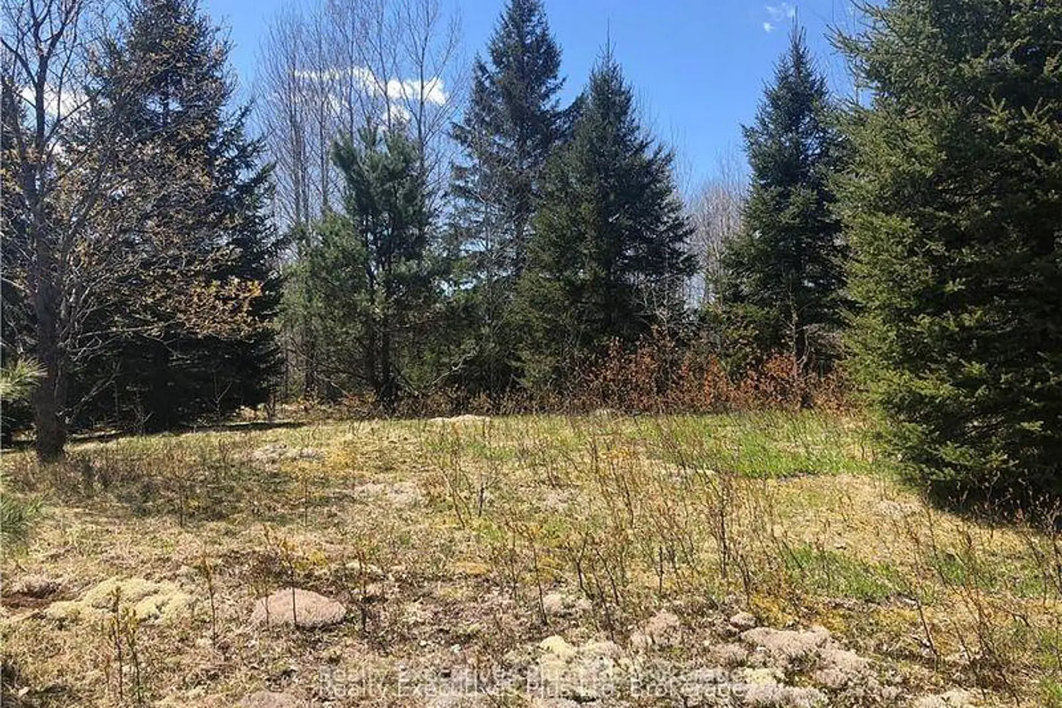 Additional image 9 of 00 Pickerel & Jack Lake Road