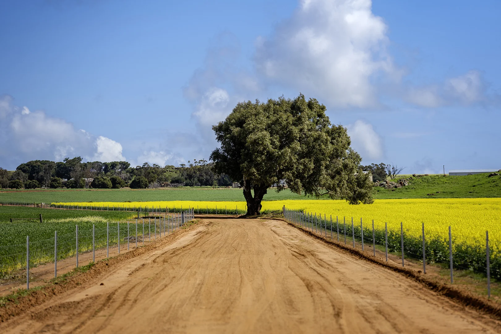 Additional image 3 of 829 Nabawa Northampton Road, Hickety WA 6532