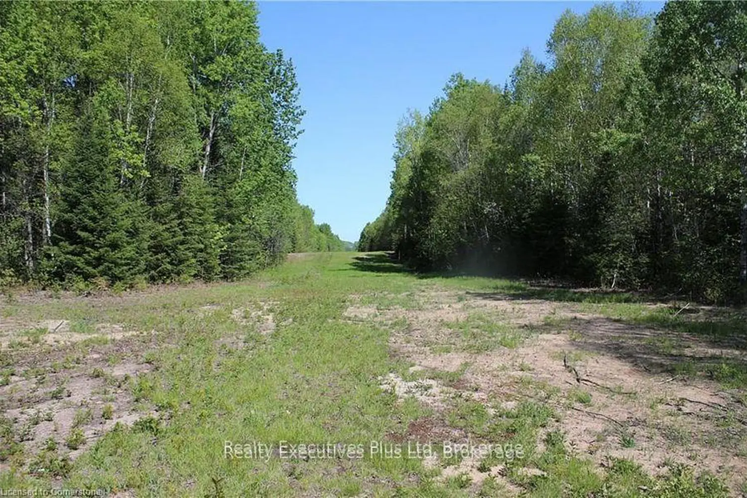Additional image 5 of 00 Pickerel & Jack Lake Road