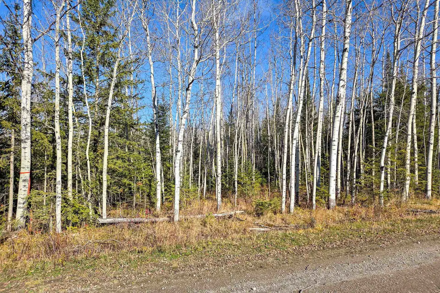 Additional image 5 of Pt 4 Cabin Road