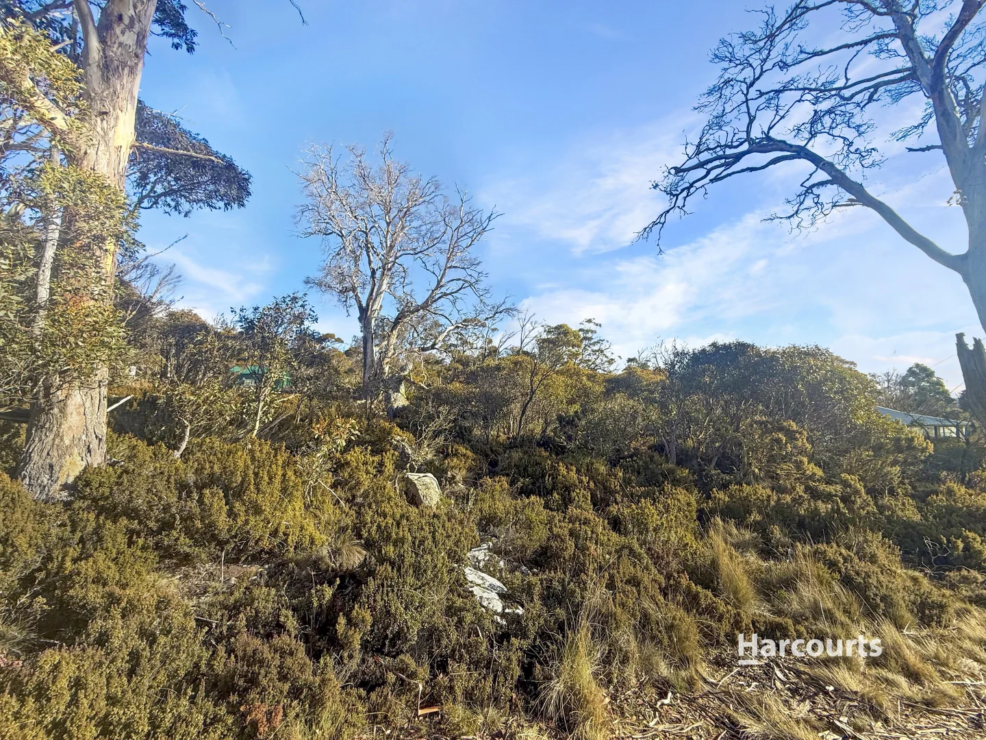 Additional image 5 of 20 Lochiel Drive, Miena TAS 7030