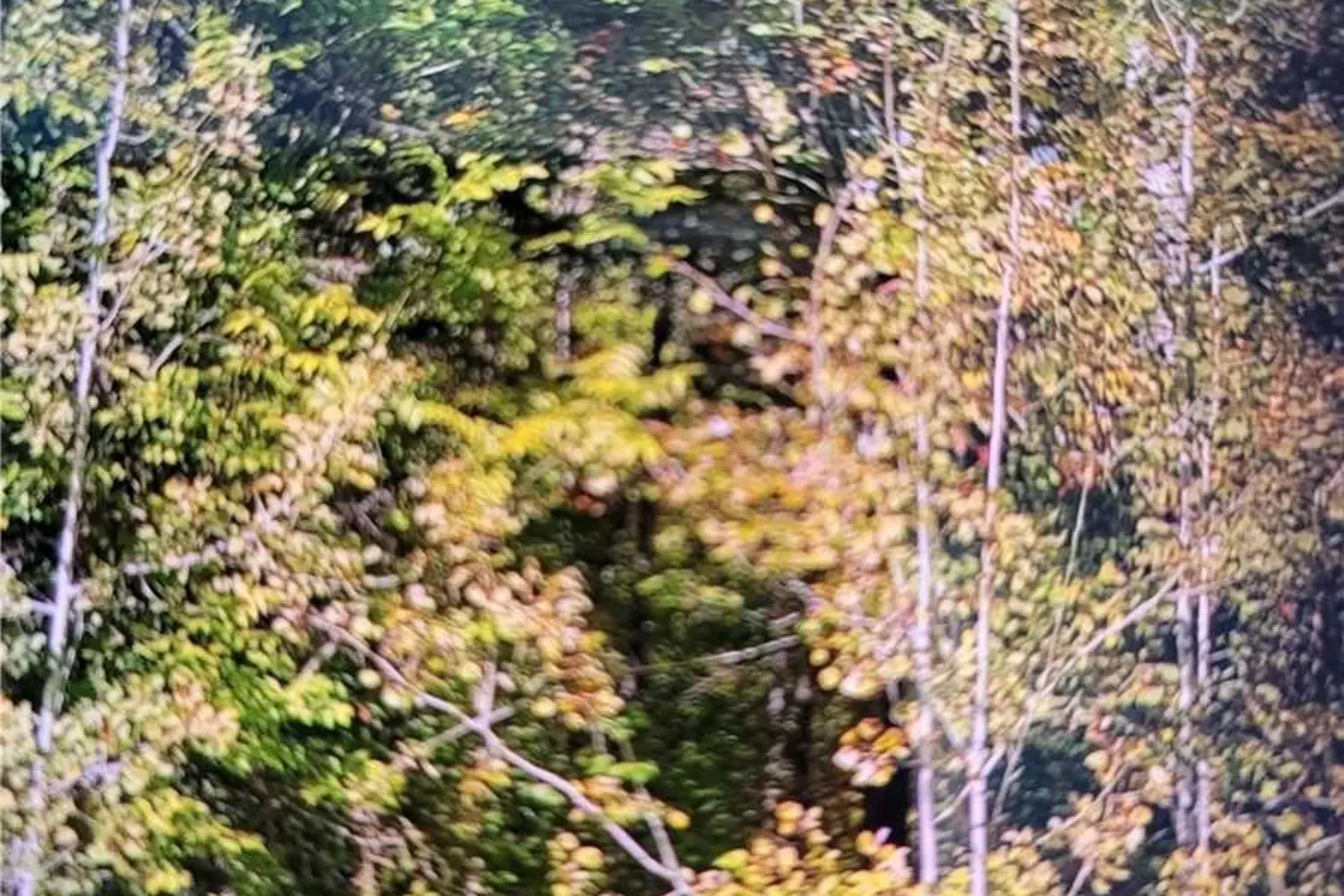 Additional image 2 of 250-400 Lake Road