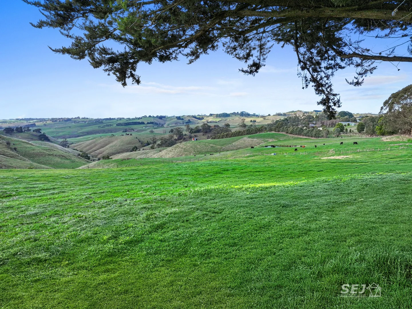 710 Korumburra - Warragul Road, Ranceby VIC 3951
