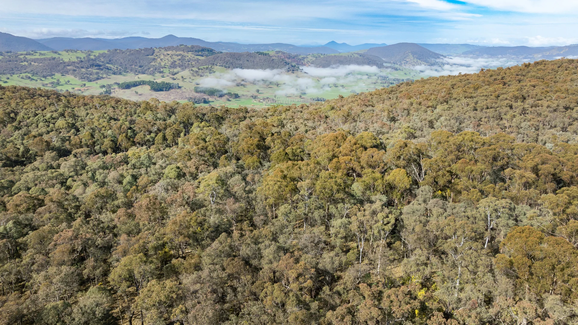 Additional image 13 of . Firebrace Track, Bullioh VIC 3700