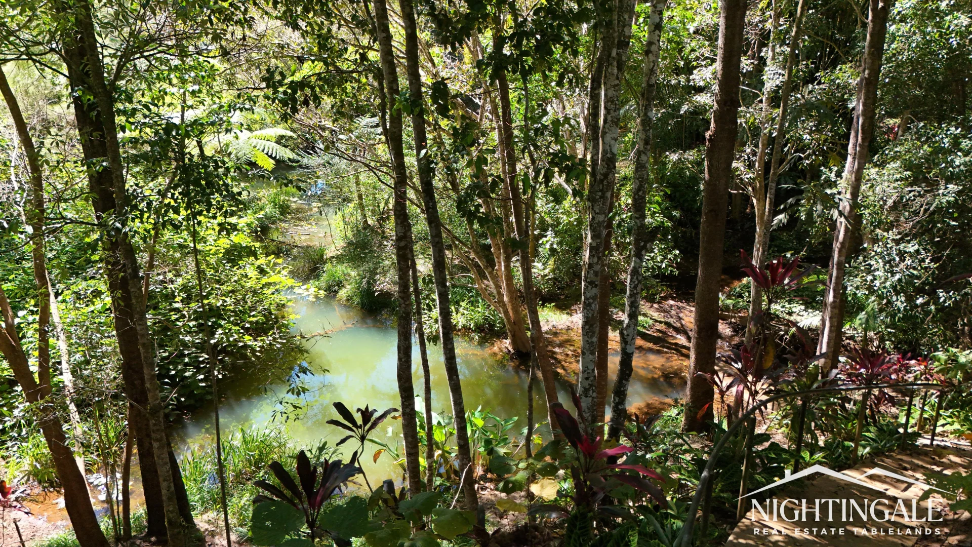 Additional image 6 of Lake Eacham QLD 4884