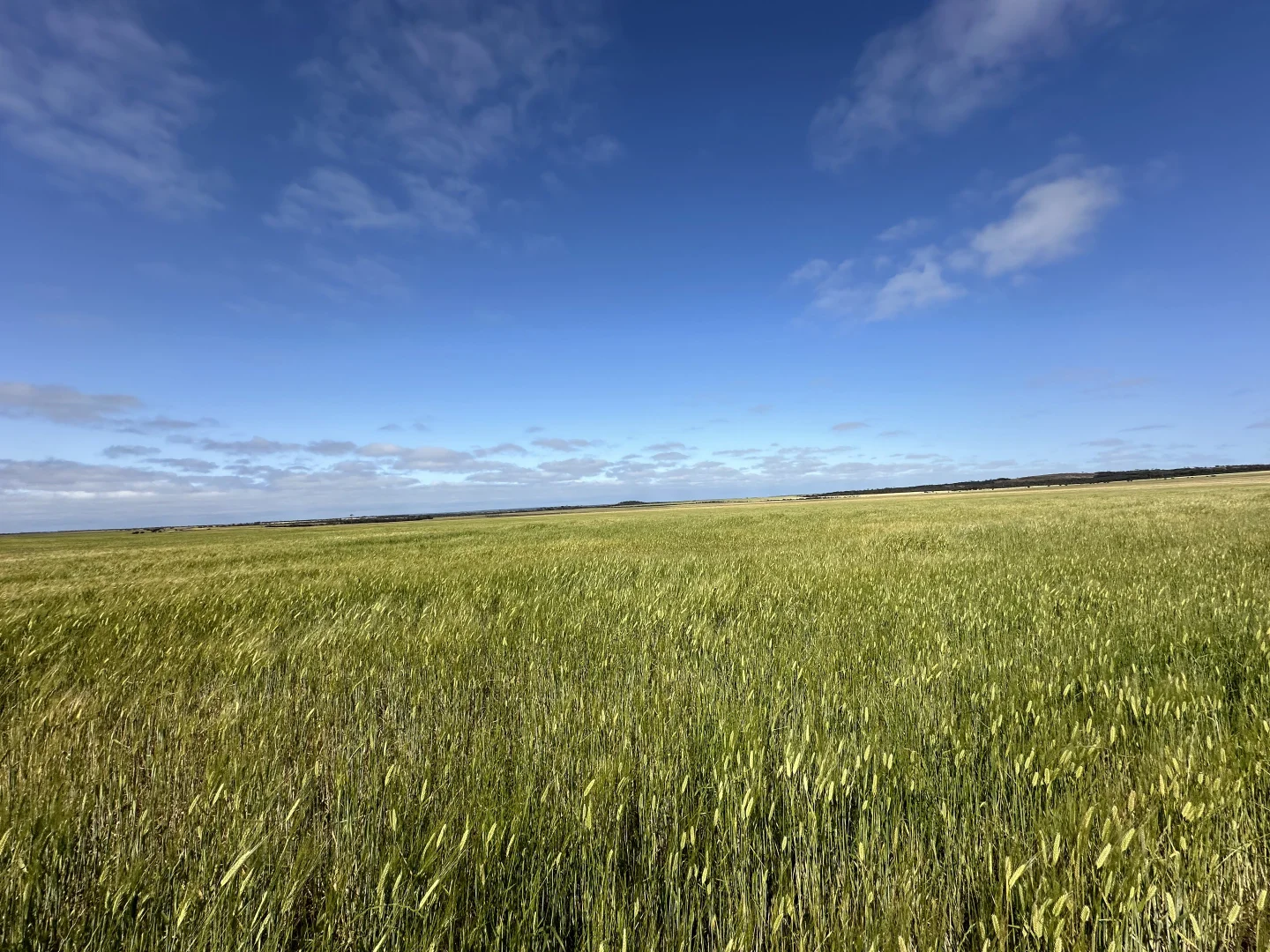 Additional image 13 of 2501 Hyden Norseman Road, Hyden WA 6359