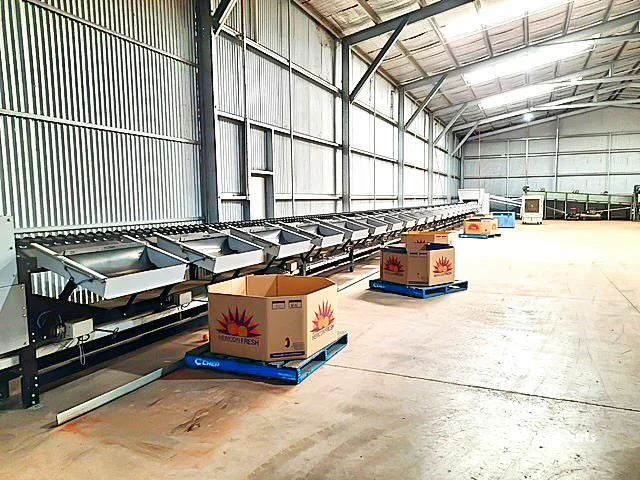 Additional image 4 of Farm 567 & 568 New Farms Road, Nericon NSW 2680