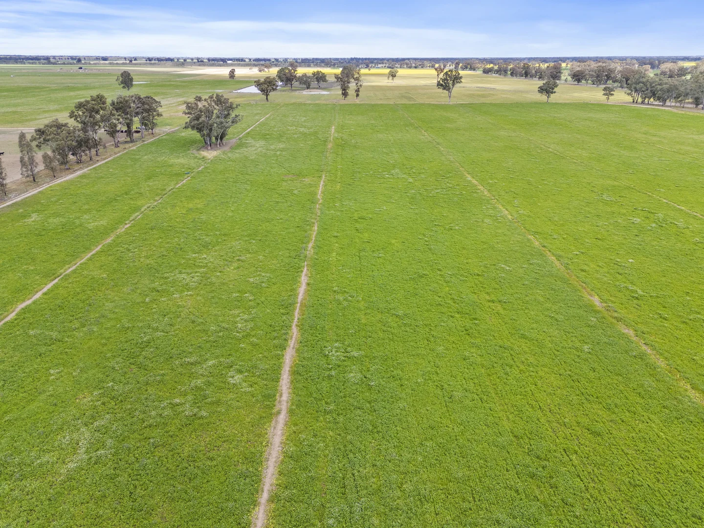 Additional image 32 of 1028 Walshs bridge south Road, Kaarimba VIC 3635