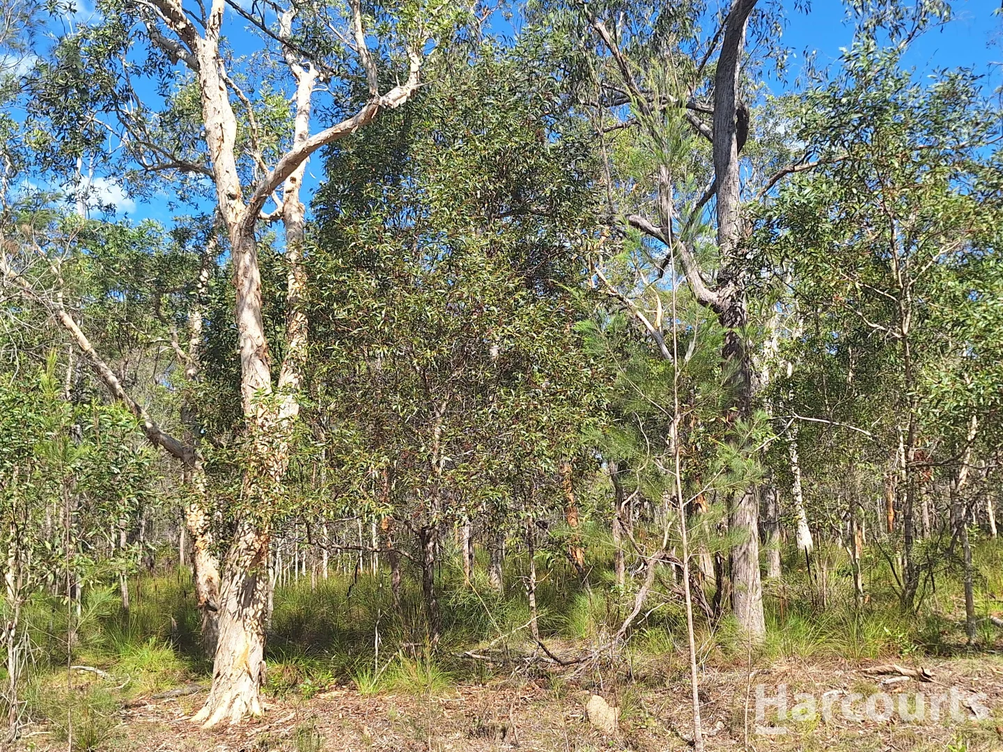 Additional image 3 of 8 Ranch Park Drive, Pacific Haven QLD 4659