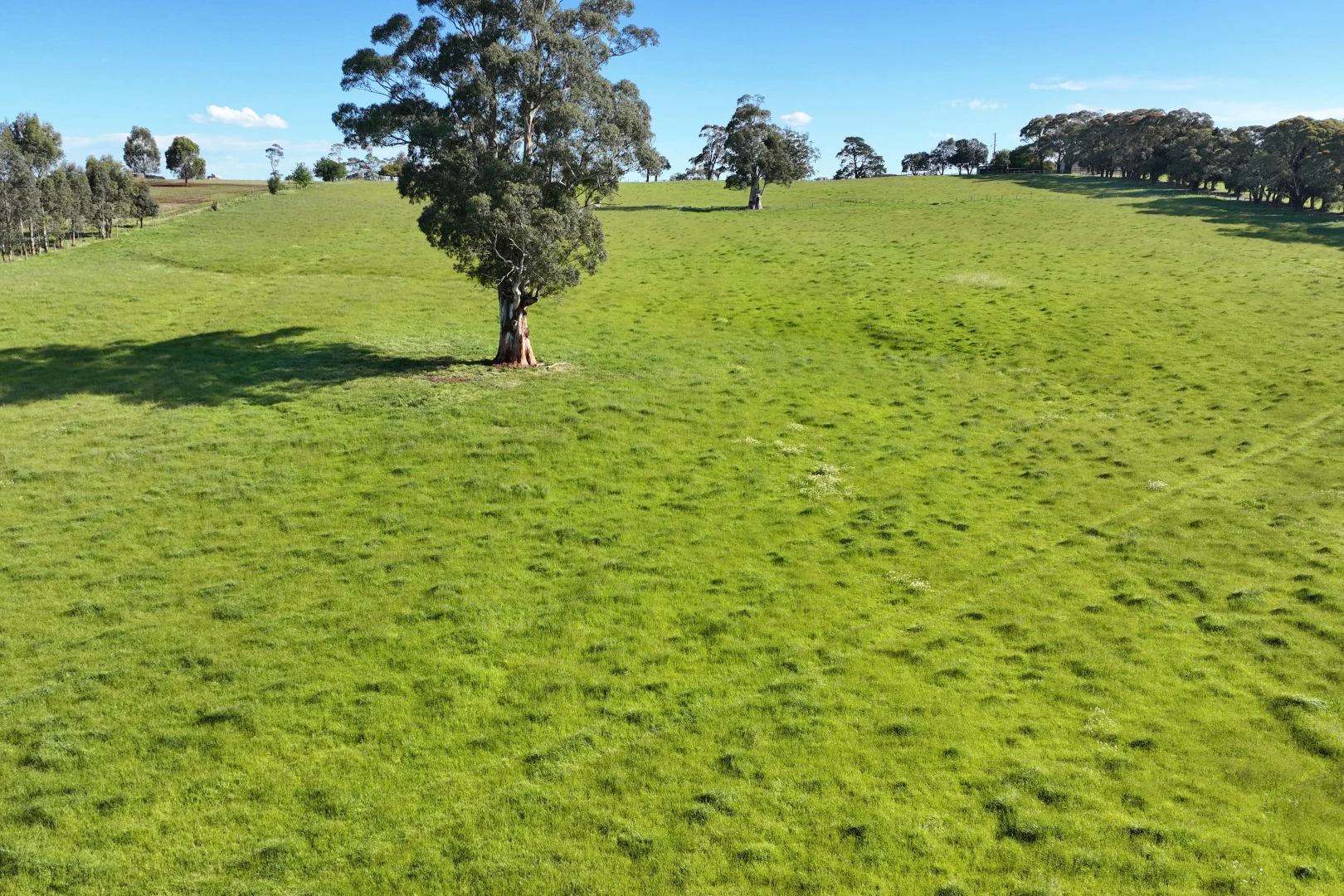 Additional image 29 of 935 Lardners Track, Warragul VIC 3820