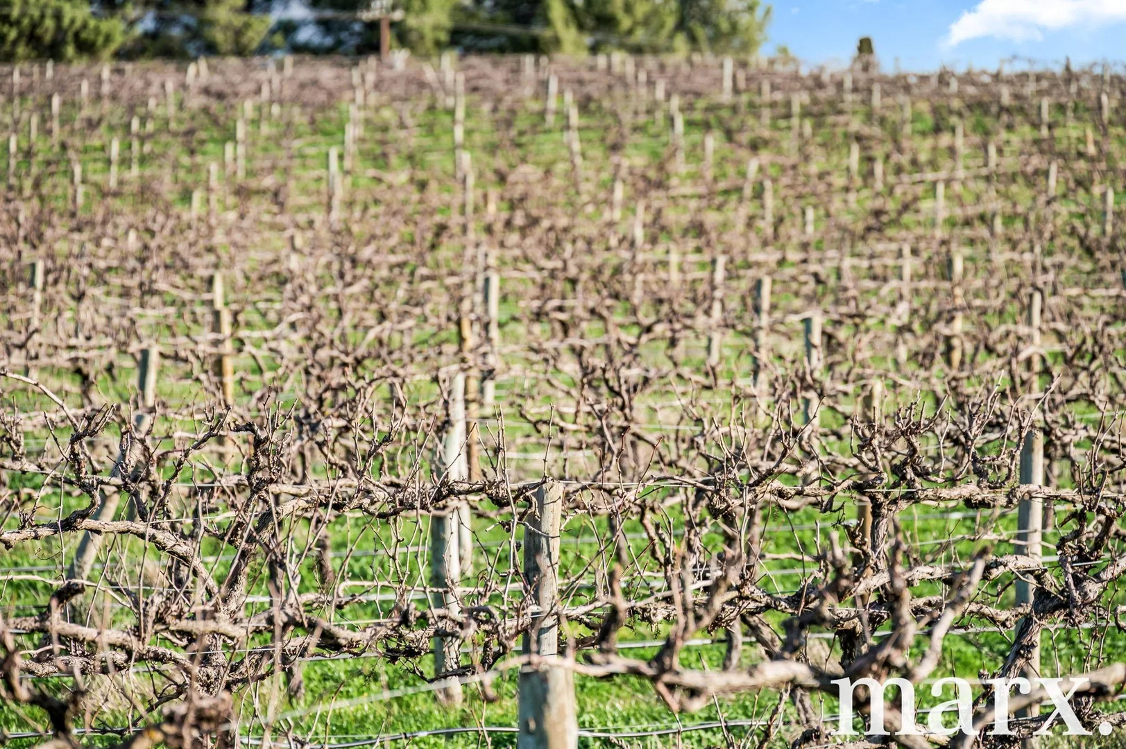 Additional image 30 of 137 Radford Road, Angaston SA 5353