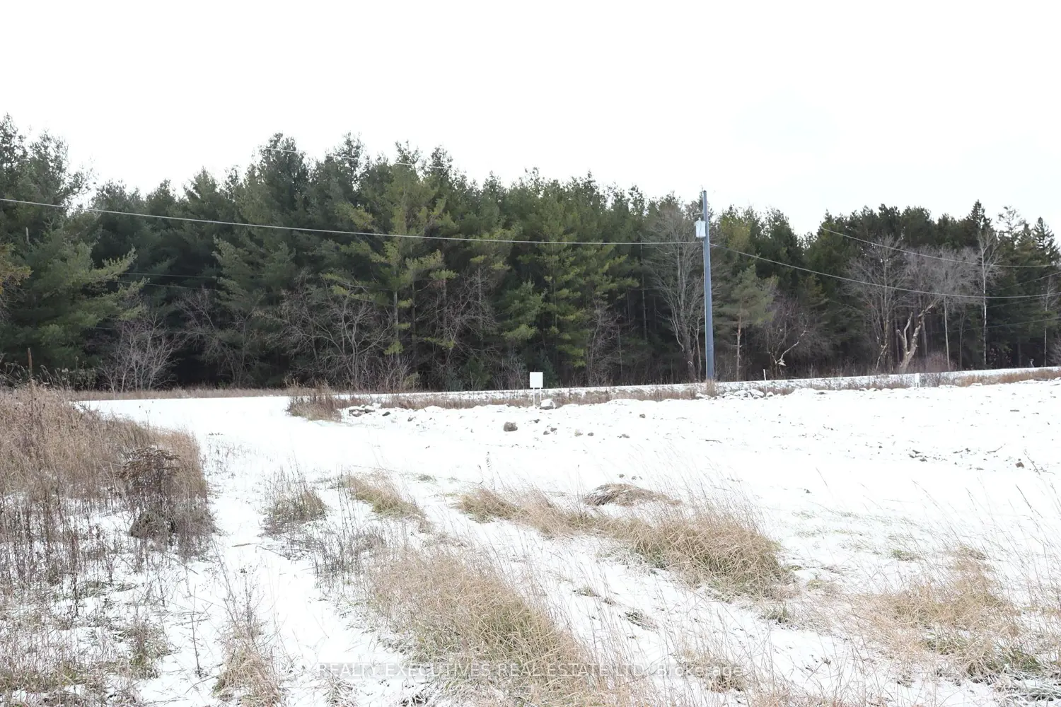 Additional image 12 of 10569 Loughlin Ridge Road