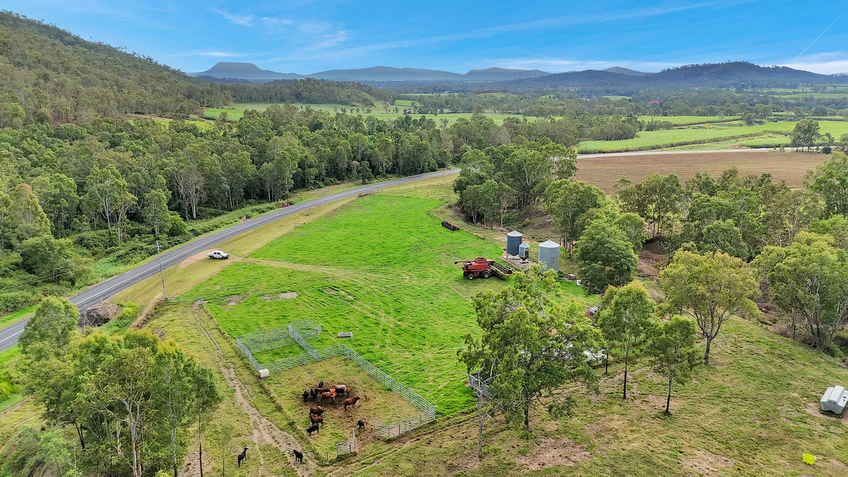 Additional image 15 of 8 Pinevale Road, Pinevale QLD 4754