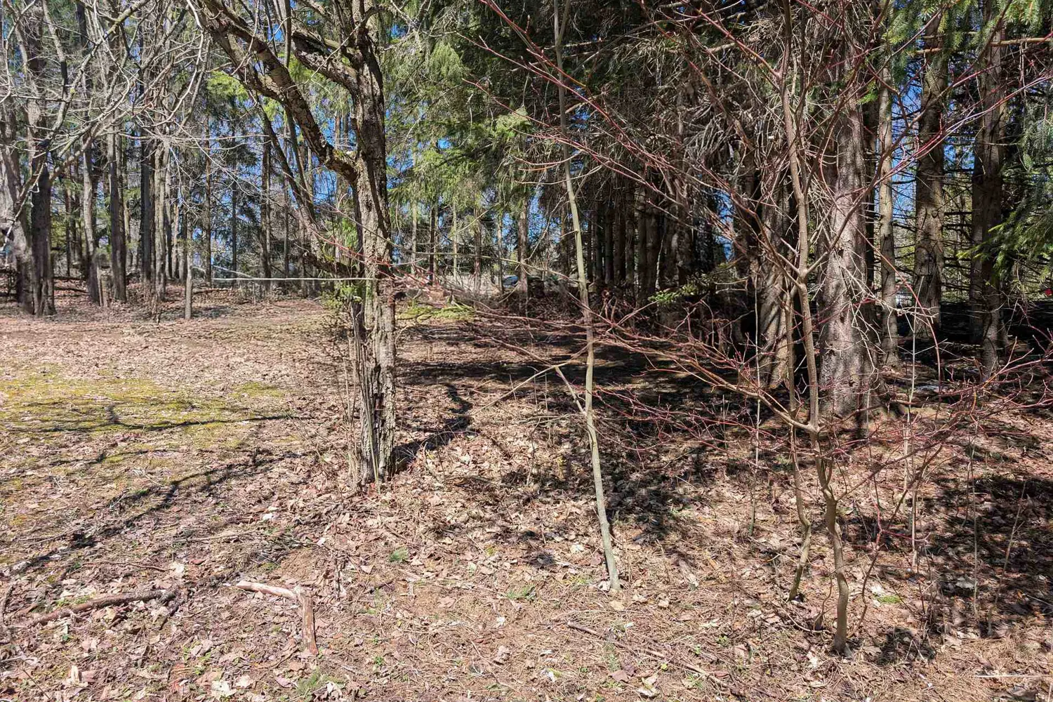 Additional image 12 of 120 Anderson Drive