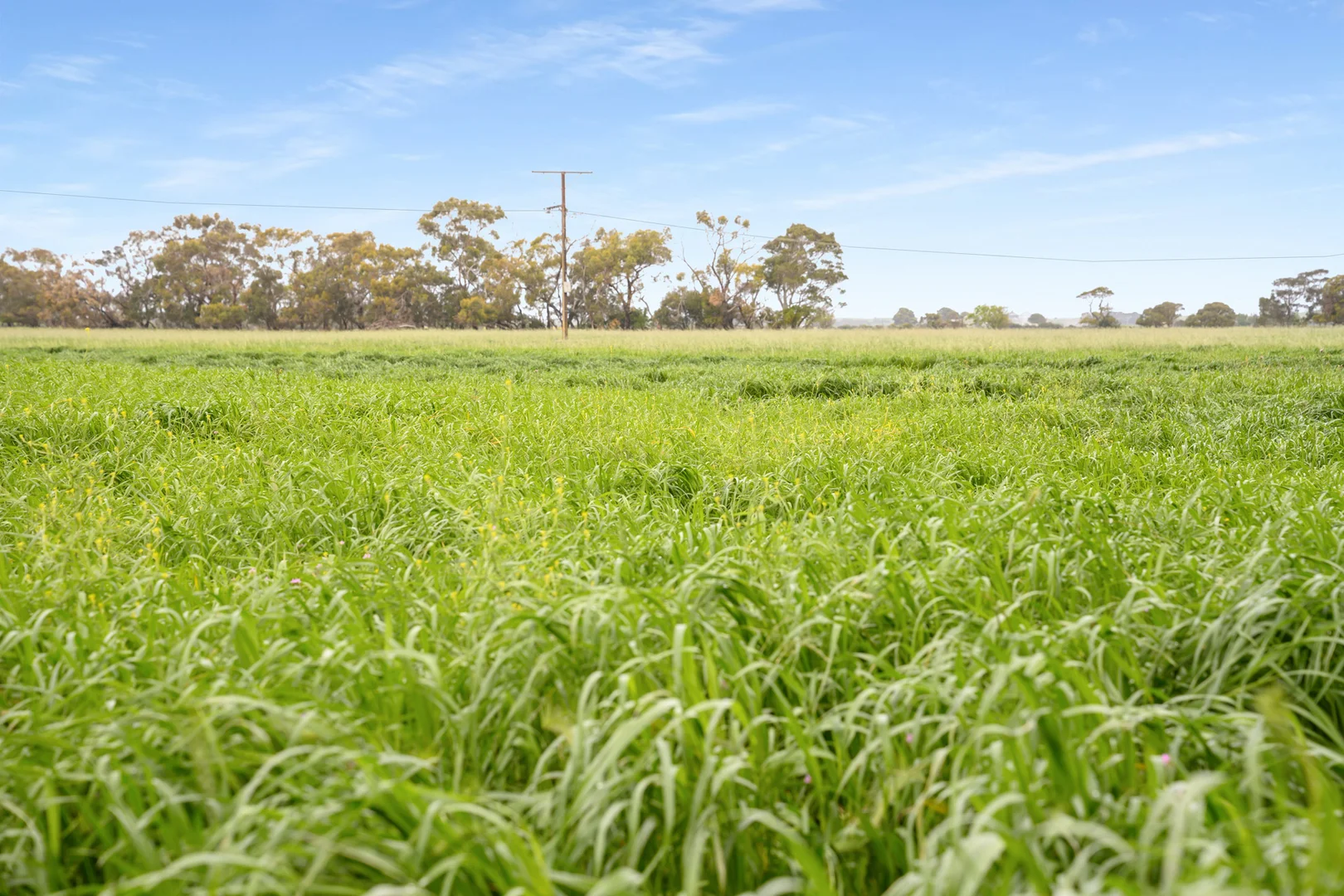Additional image 37 of 771 Belt Road, Millicent SA 5280