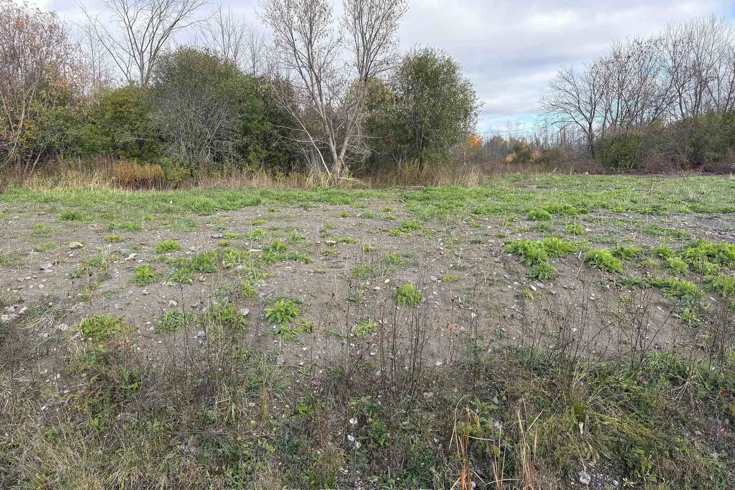 Additional image 6 of 5363 Woodland Road