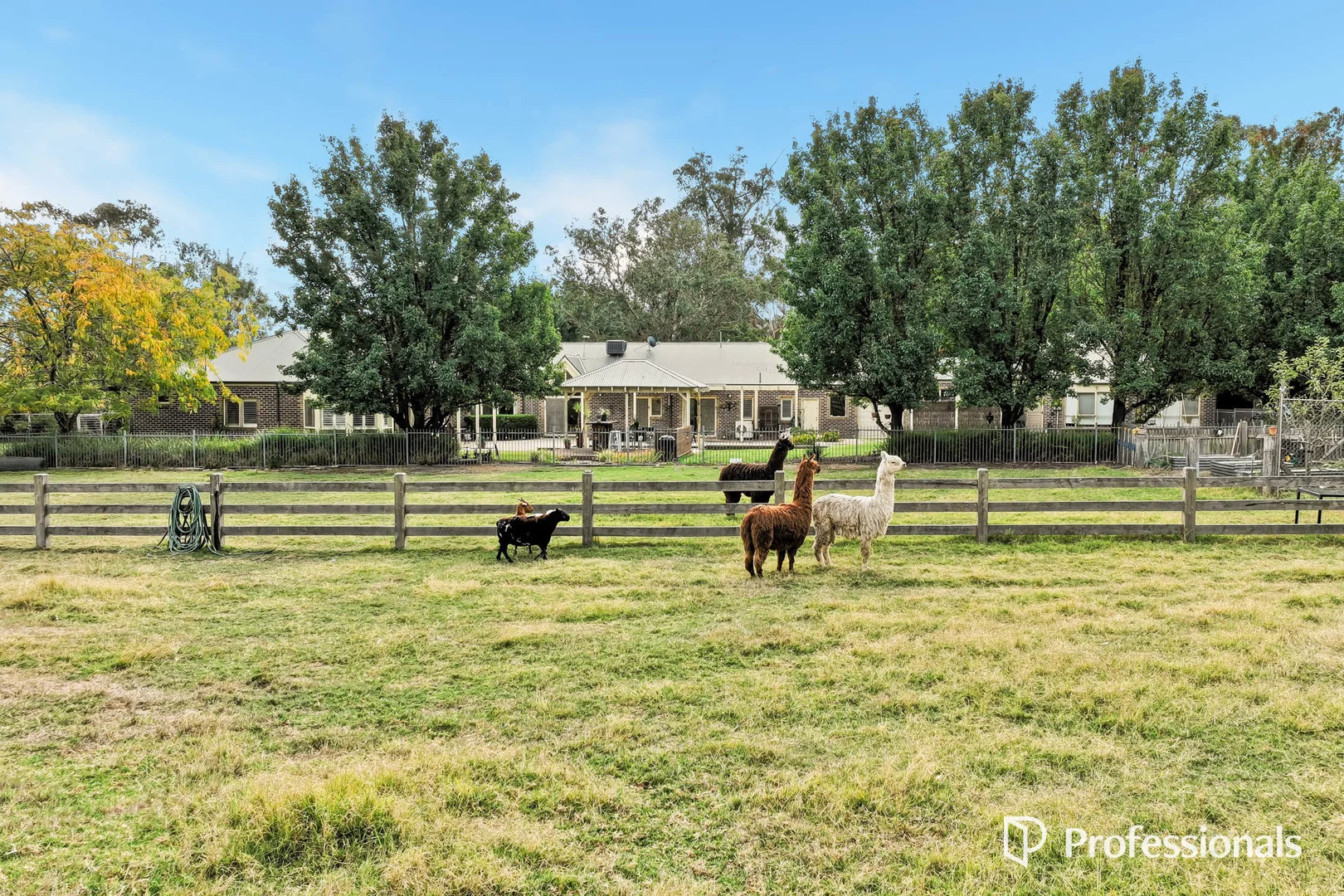 Additional image 39 of 14 Jeanette Maree Court, Kilsyth VIC 3137