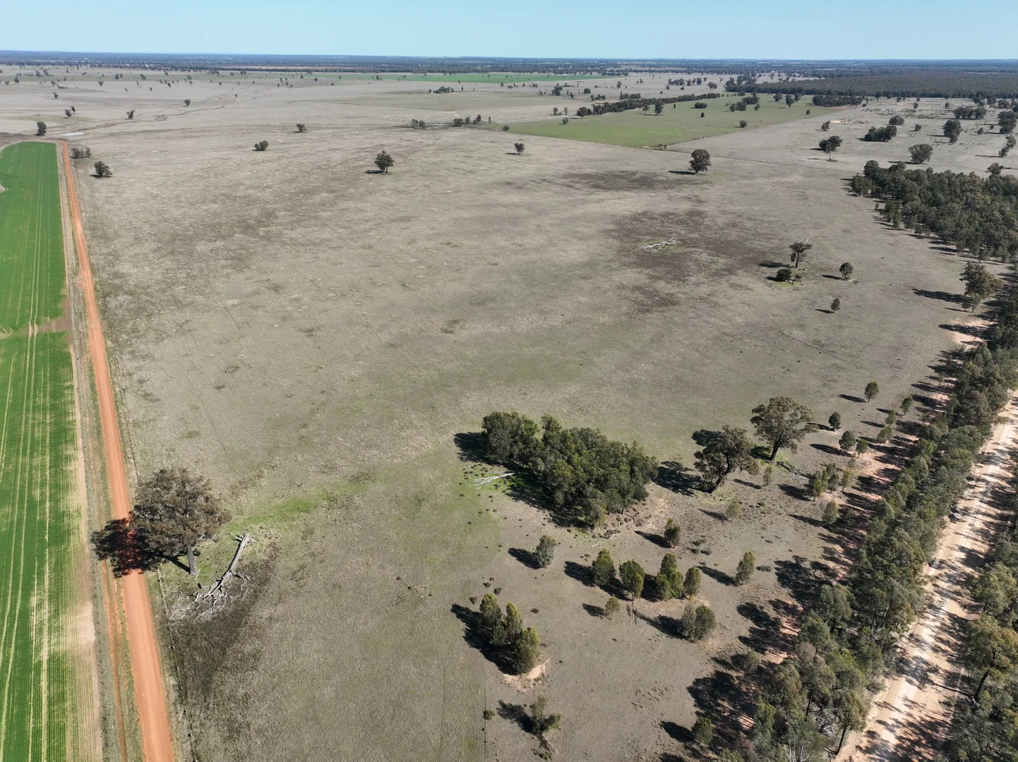 Additional image 8 of 'West Tarrawonga' 56 Donnelly Road, Eumungerie NSW 2822