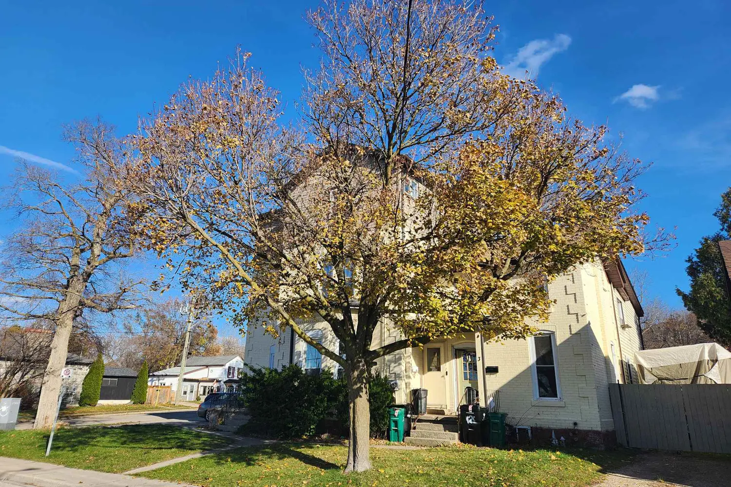 Additional image 3 of 125 Wellington Street