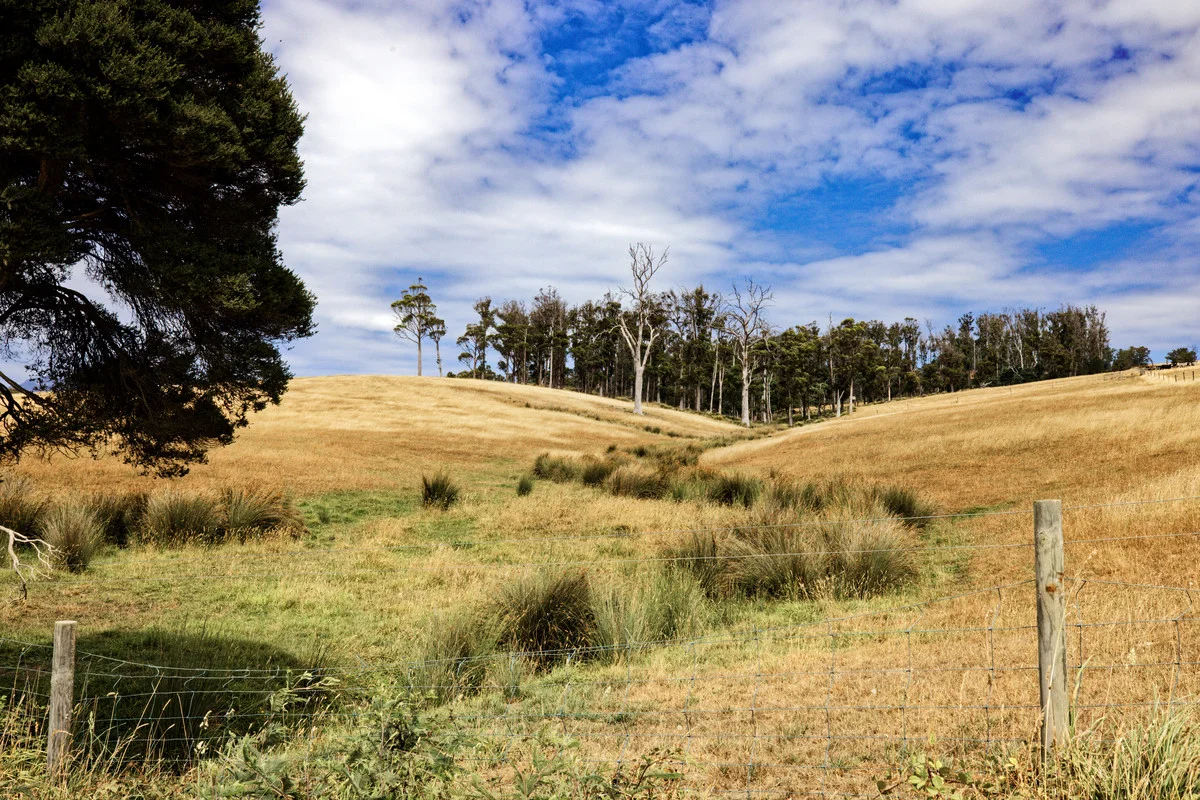Additional image 12 of 110a Paling Track, Bangor TAS 7267