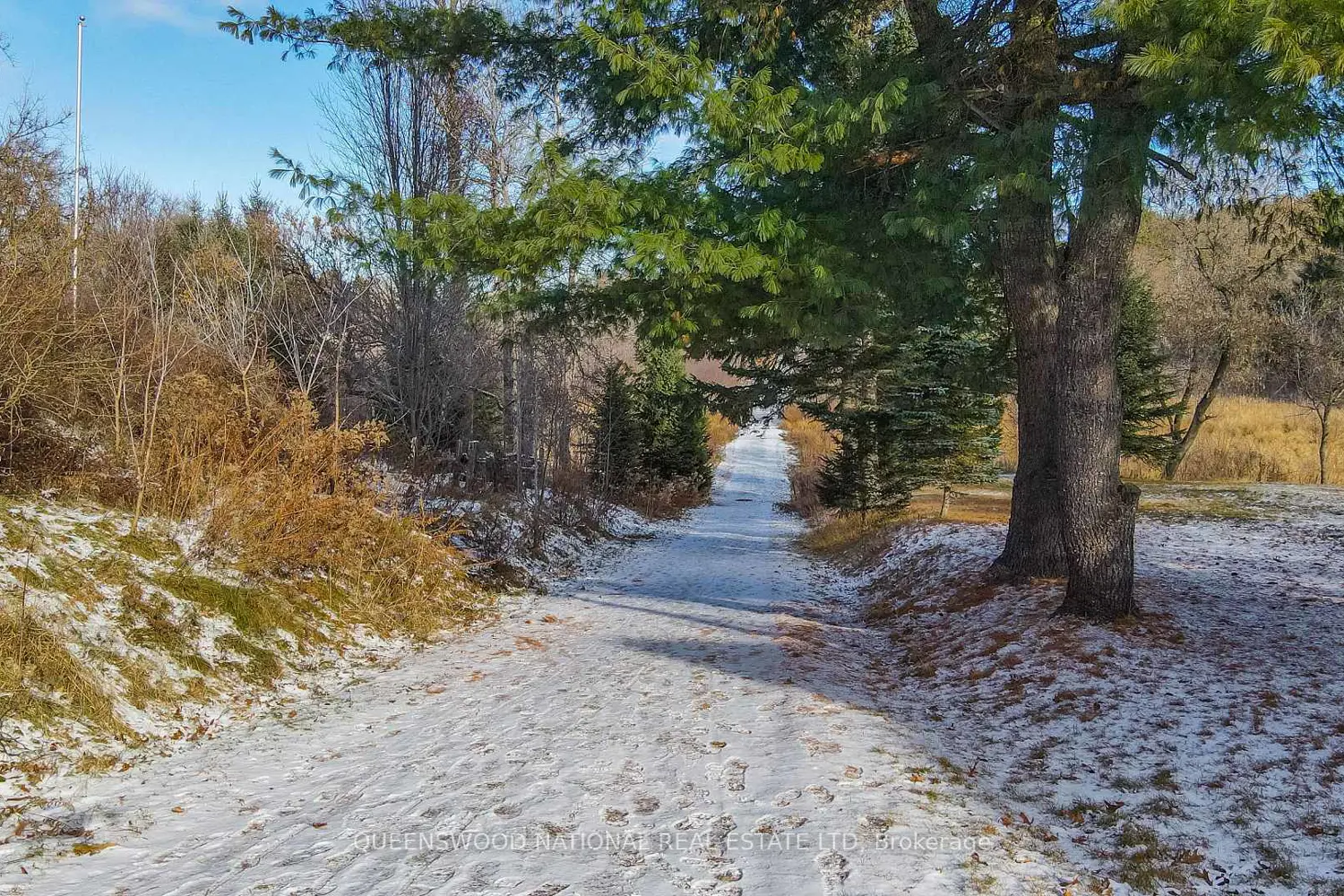 Additional image 18 of 19518 Opeongo Line