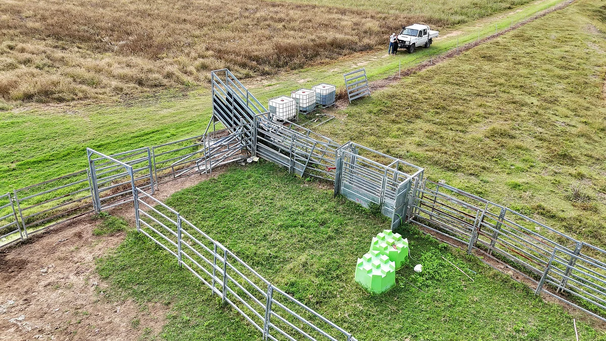 Additional image 16 of 8 Pinevale Road, Pinevale QLD 4754