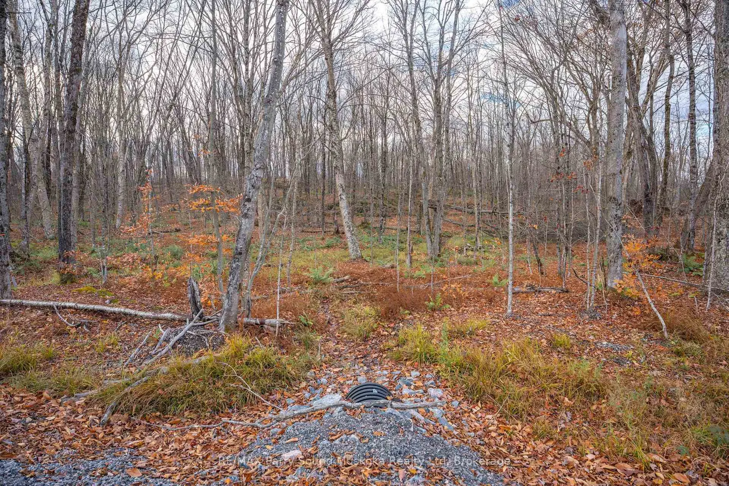 Additional image 18 of Part 7 Standing People Road
