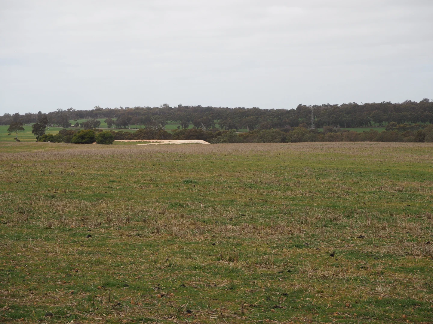 Additional image 6 of Dowrene Farm, Cnr Yerriminup and Yarralena Roads, Cranbrook WA 6321