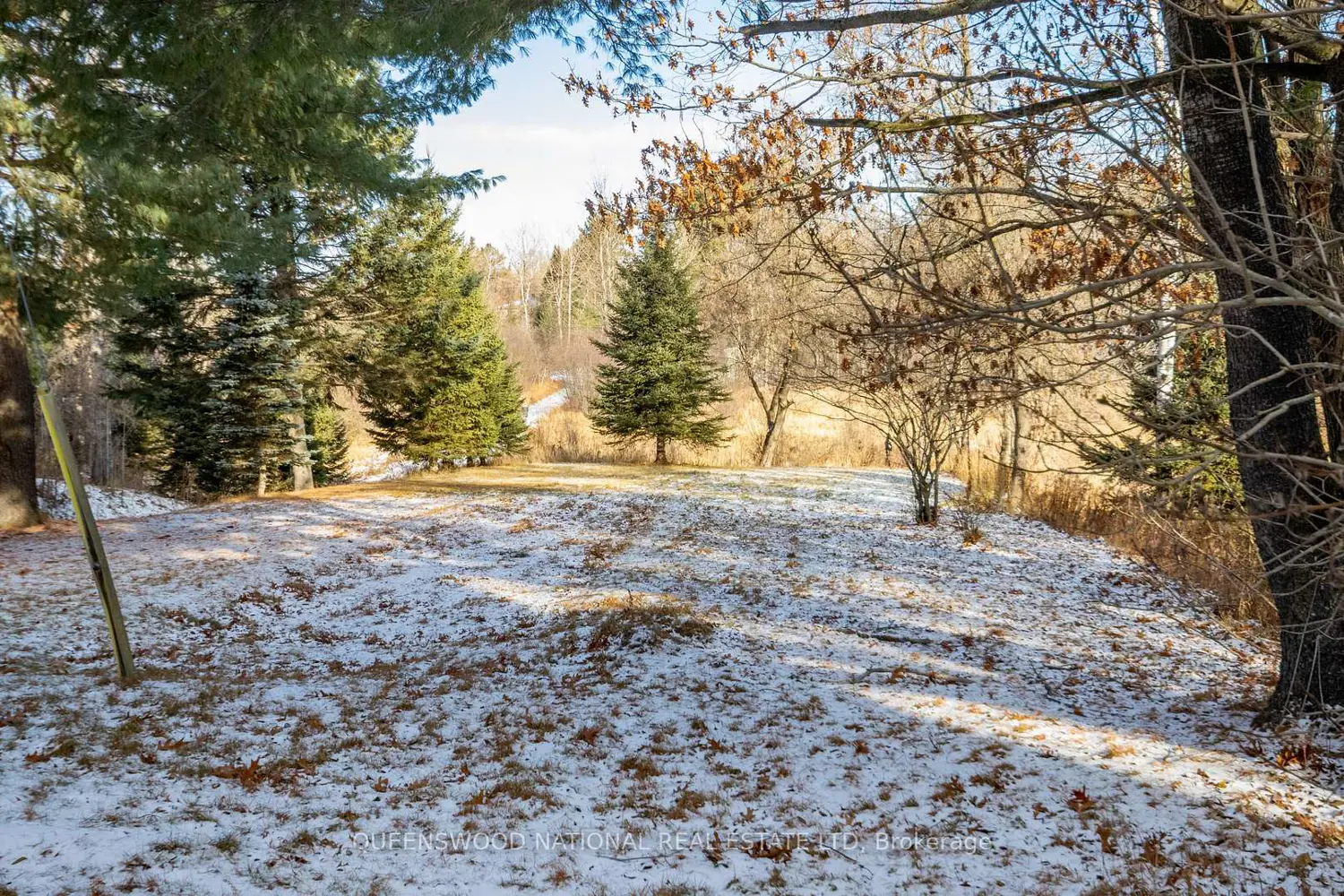 Additional image 17 of 19518 Opeongo Line