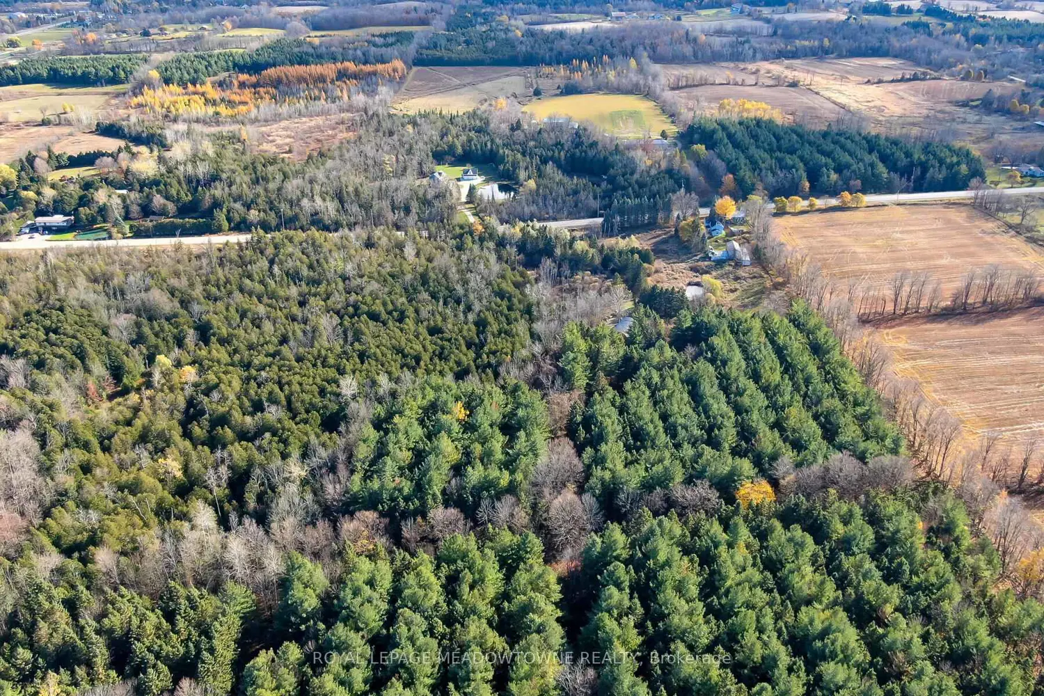 Additional image 10 of 9328 Wellington 50 Road