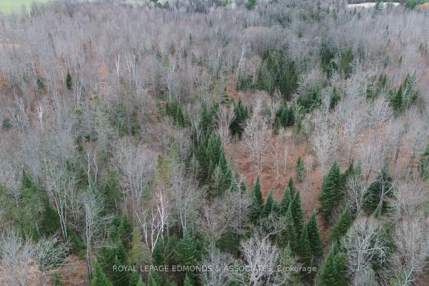 Additional image 10 of 710 Westmeath Road