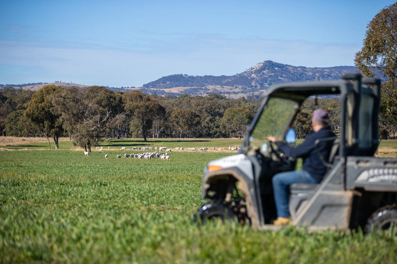 214 Tarban Loop Road, Tenterfield NSW 2372