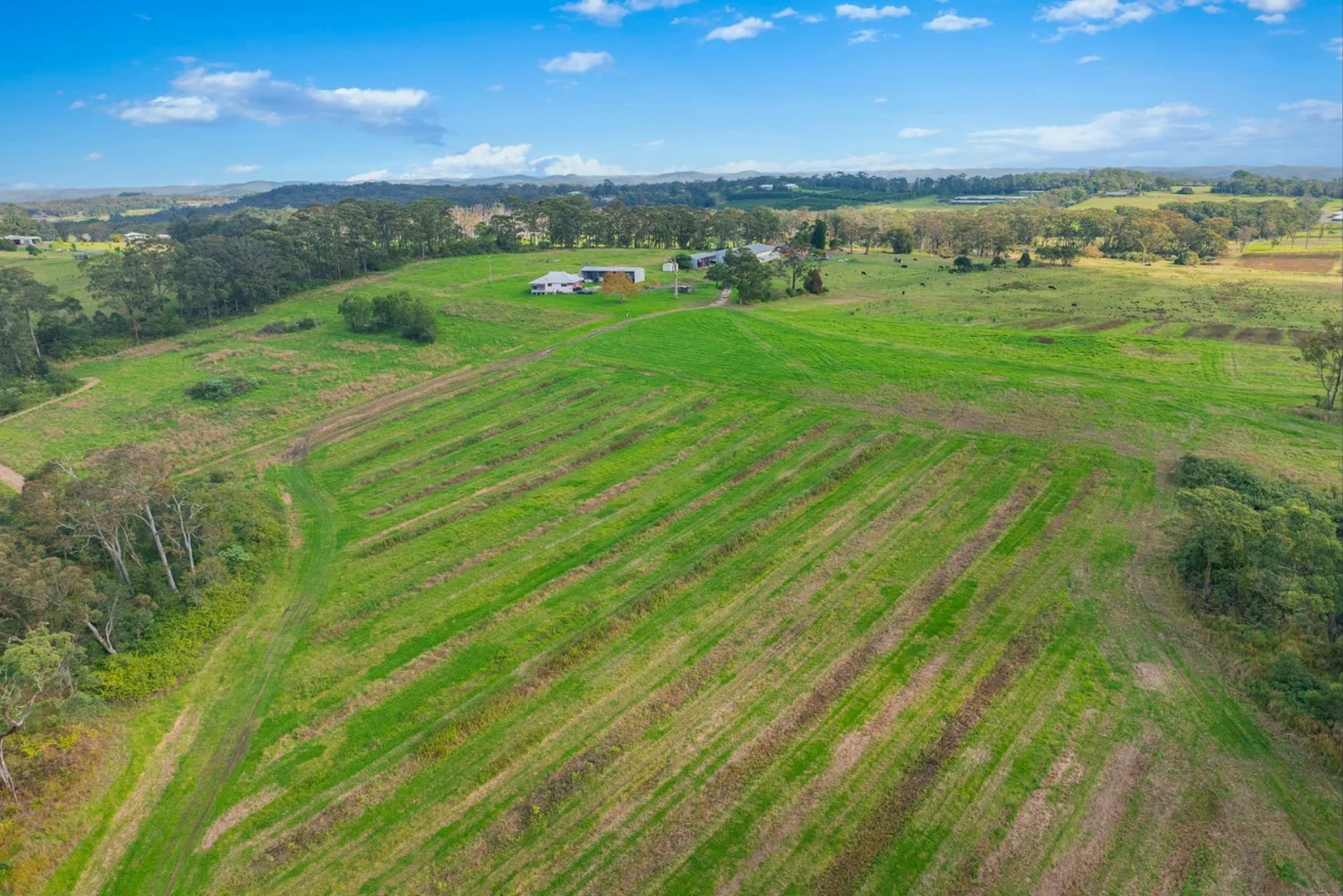 Additional image 19 of Lillicrapps Road, Mangrove Mountain NSW 2250