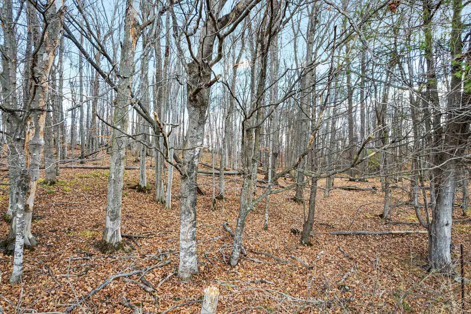 Additional image 3 of Pt 2-00 Herron Mills Road