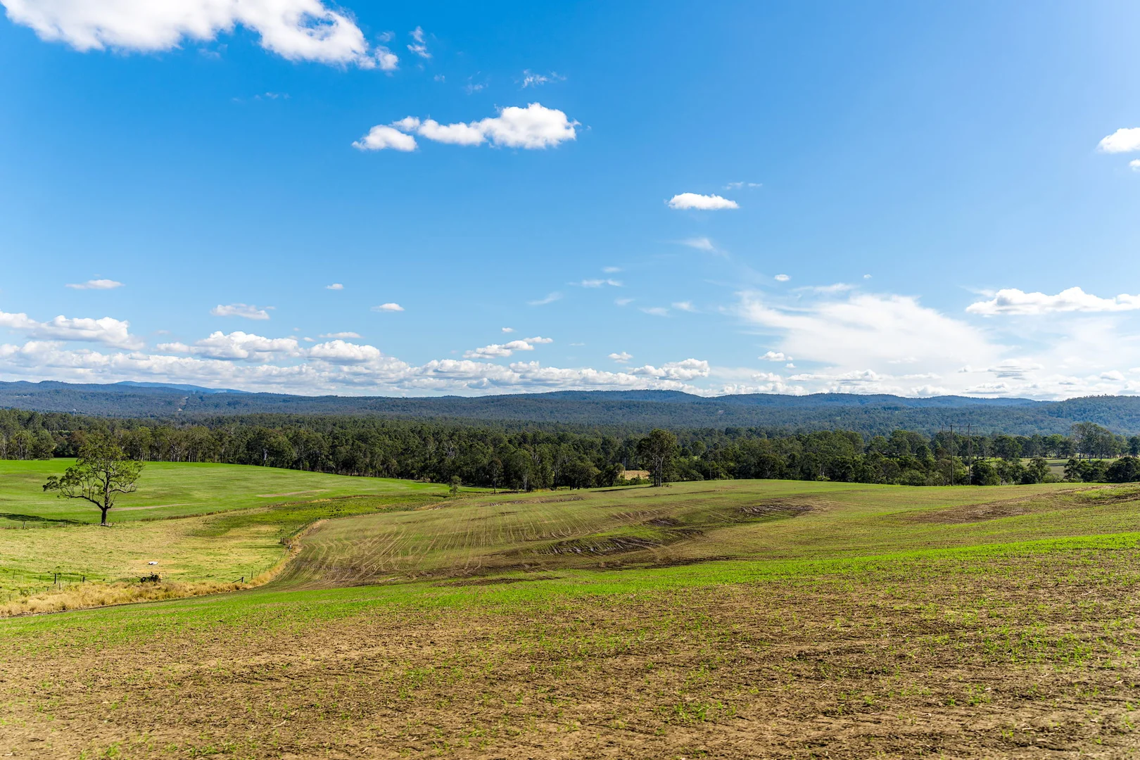 Additional image 15 of 119 Paddys Flat Road, Tabulam NSW 2469