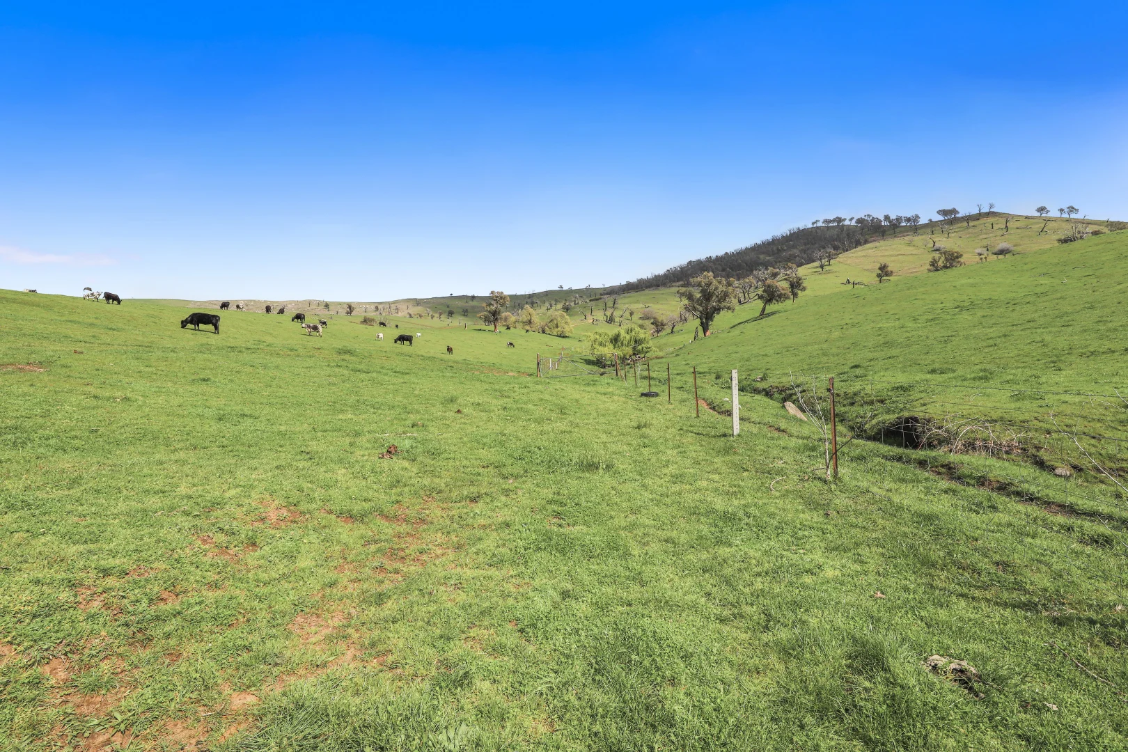 Additional image 5 of 3 West Gilmore Road, Tumut NSW 2720