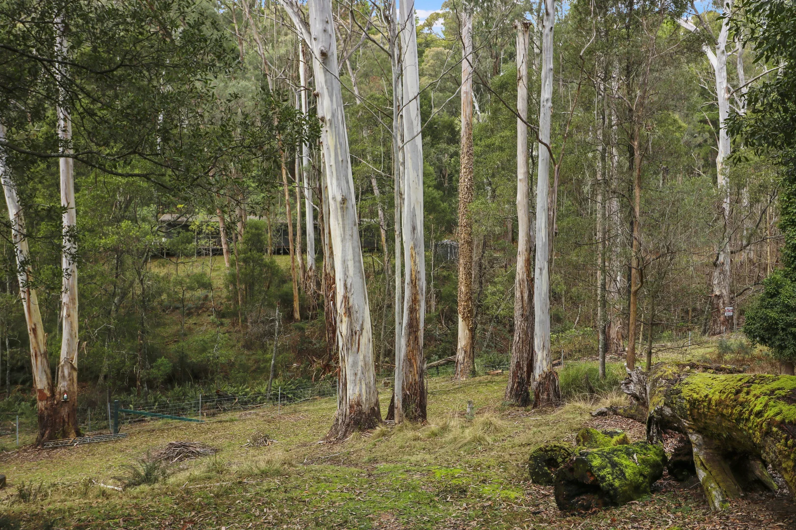 Additional image 3 of 29 Purcell Drive, Merrijig VIC 3723