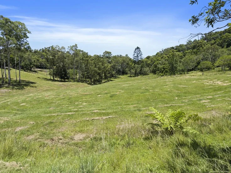 Additional image 12 of 347 Pottsville Road, Sleepy Hollow NSW 2483